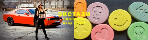 индика Богородицк