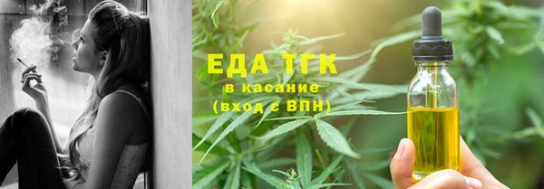 индика Богородицк