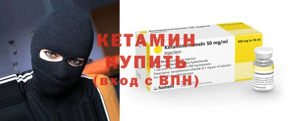 индика Богородицк