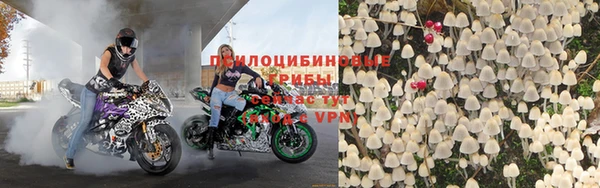 индика Богородицк