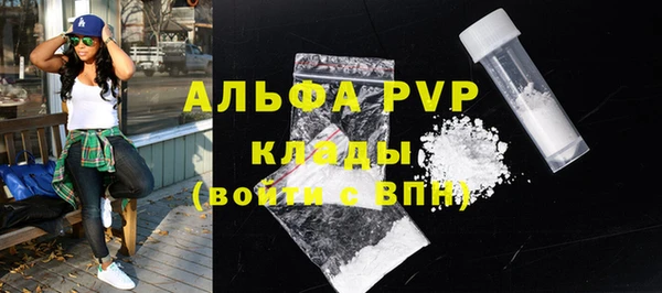 индика Богородицк