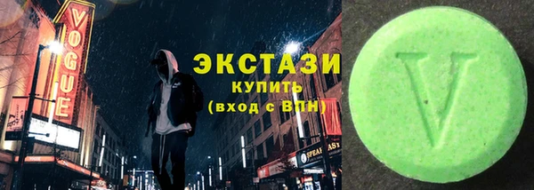 индика Богородицк