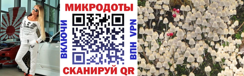 Галлюциногенные грибы мицелий  omg ссылки  Верхотурье 